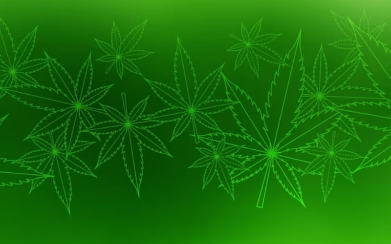 virginia medical marijuana card