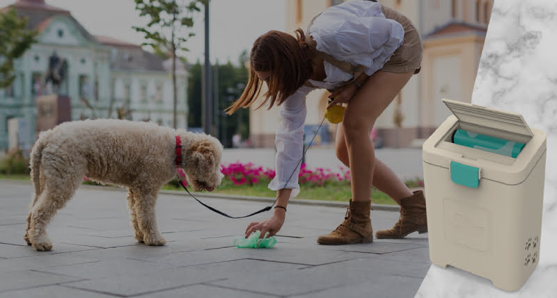 dog waste station
