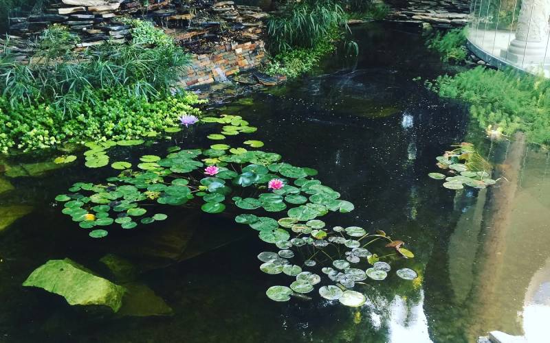 custom water features in Arizona